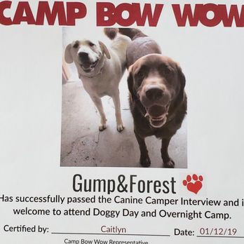 Camp Bow Wow Myrtle Beach - Pet Sitting Near Me - Myrtle Beach, South Carolina Camp Bow Wow Myrtle Beach - Pet Sitting Near Me - Myrtle Beach, South Carolina