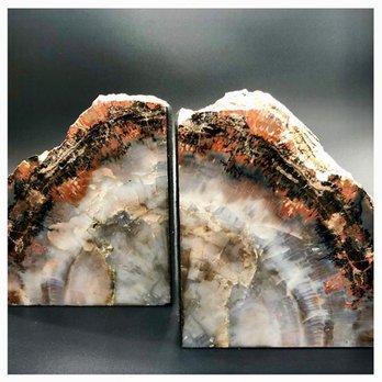 Lamina Jewelry Store - Petrified Wood book-ends - Jewelry Near Me - Vail, Colorado Lamina Jewelry Store - Petrified Wood book-ends - Jewelry Near Me - Vail, Colorado