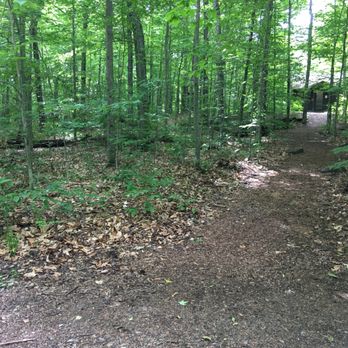 Limekiln Lake State Campground - path from road to toilets - Campgrounds Near Me - Inlet, New York