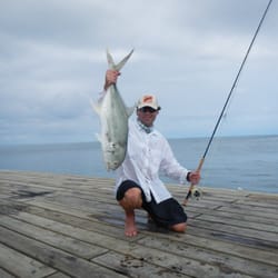 Break Water Tours - Belize is an amazing destination to visit.  Huge fish lurking in very shallow water. You can read more about it on my web site.