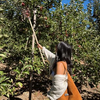 Rileys At Los Rios Rancho - Fruits & Veggies Near Me - Oak Glen, California