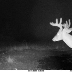 Owen Farms Hunting Preserve