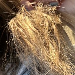 8" burned off. Mullet hair