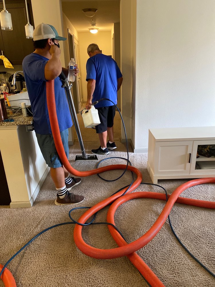 ULTRABRITE CARPET CLEANING Updated August 2024 22 Photos & 59