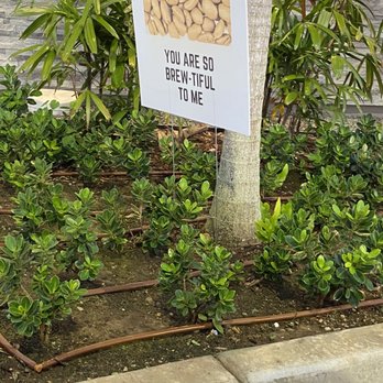 Starbucks - Cute signs in drive-thru - Coffee & Tea Near Me - Kapolei, Hawaii Starbucks - Cute signs in drive-thru - Coffee & Tea Near Me - Kapolei, Hawaii