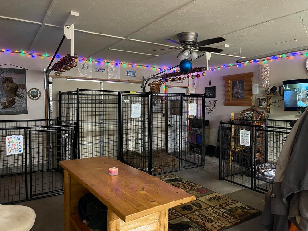 BLACK WOLF KENNELS Updated October 2024 9154 Hwy 73, Angora