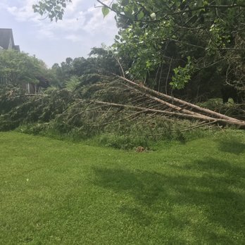 Supreme Tree - Tree Services Near Me - Damascus, Maryland