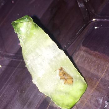 Pizzaiola - Bug in salad - Pizza Near Me - Oceanside, New York Pizzaiola - Bug in salad - Pizza Near Me - Oceanside, New York