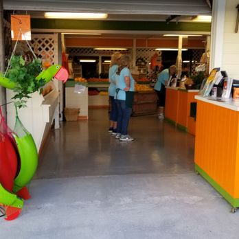 Dooley Groves - Fruits & Veggies Near Me - Ruskin, Florida Dooley Groves - Fruits & Veggies Near Me - Ruskin, Florida