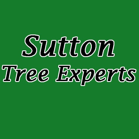 Sutton Tree Experts - tree service in Columbus, WI