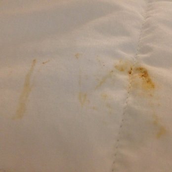 Comfort Suites - Brown stain with residue on my comforter. - Hotels Near Me - Lebanon, Tennessee Comfort Suites - Brown stain with residue on my comforter. - Hotels Near Me - Lebanon, Tennessee