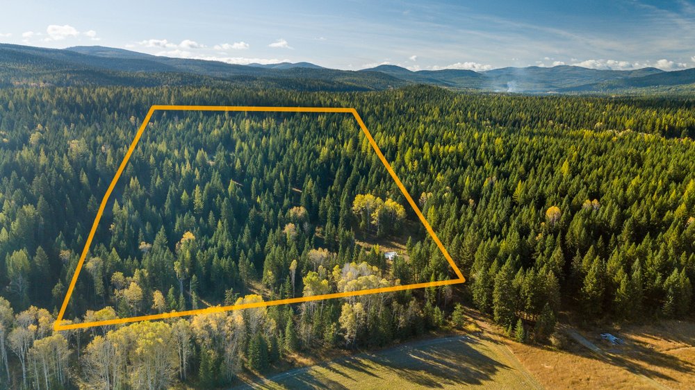 JUNE MURRAY KW WESTERN MONTANA REAL ESTATE Updated October 2024