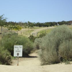 Windy Ridge Cherry Orchard