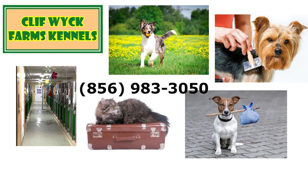 CLIF WYCK FARMS KENNELS Updated July 2024 13 Reviews 131