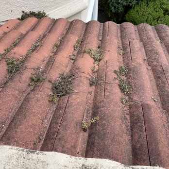 West Coast Gutters - debris left on the roof after cleaning the gutters - Solar Panel Cleaning Near Me - Palo Alto, California