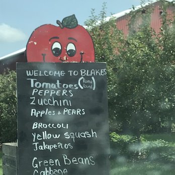 Blake's Orchard & Cider Mill - Look carefully what they can pick!! - Fruits & Veggies Near Me - Armada, Michigan