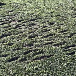 Timpanogos Golf Club - Divets galore