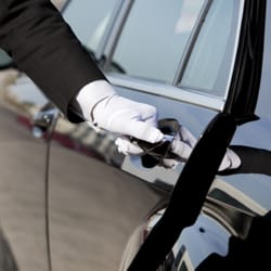 Level Nine Services - Personal Drivers
