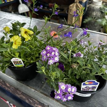 McCue Garden Center - Nurseries & Gardening Near Me - Woburn, Massachusetts