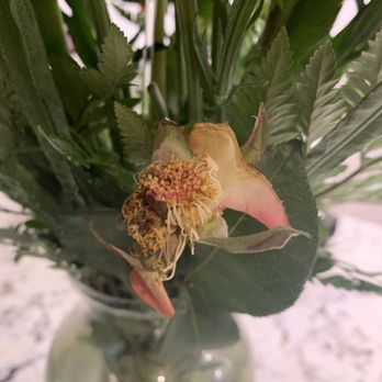 Floralily Wedding Decorators - One of the many dead and shriveled flowers in the arrangement. - Florists Near Me - Durham, North Carolina