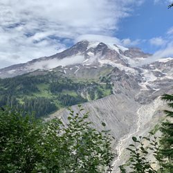Nisqually Vista Trail - Picturesque Mt. Rainier from one of the many overlooks at Nisqually Vista.