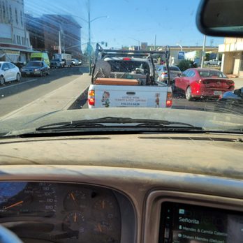 George Webb Termite Control - Pest Control Near Me - Oroville, California George Webb Termite Control - Pest Control Near Me - Oroville, California