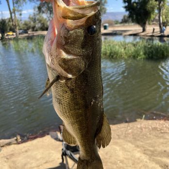 Little Lake - Fishing Near Me - Hemet, California Little Lake - Fishing Near Me - Hemet, California