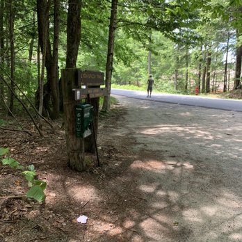 Lyon Brook Trail - Trailhead on Parkside Road - Hiking Near Me - New London, New Hampshire Lyon Brook Trail - Trailhead on Parkside Road - Hiking Near Me - New London, New Hampshire