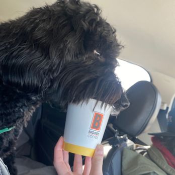 BIGGBY COFFEE - Louis enjoying his treat! - Coffee & Tea Near Me - Shelby Township, Michigan BIGGBY COFFEE - Louis enjoying his treat! - Coffee & Tea Near Me - Shelby Township, Michigan