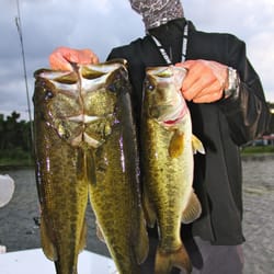 Close Encounters Fishing Charters - Tripled up on Large Mouth Bass in Central Florida!
