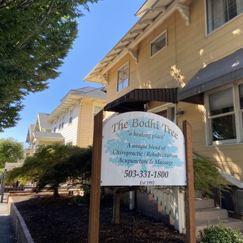 The Bodhi Tree Clinic - Acupuncture Near Me - Portland, Oregon The Bodhi Tree Clinic - Acupuncture Near Me - Portland, Oregon