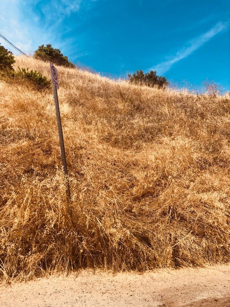 Brian Walsh Brush Clearance - tree service in Los Angeles, CA