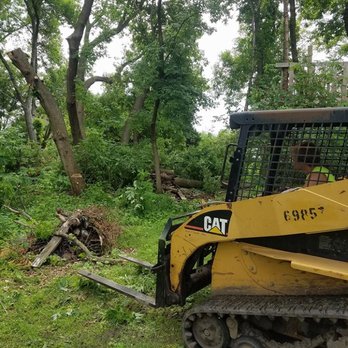 Quick N' Clean Services - Tree Service - Tree Services Near Me - Mayer, Minnesota Quick N' Clean Services - Tree Service - Tree Services Near Me - Mayer, Minnesota
