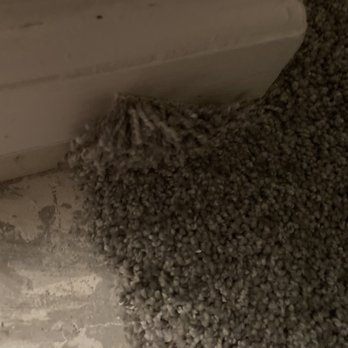 Carpet One Floor & Home - Flooring Near Me - Orange Park, Florida