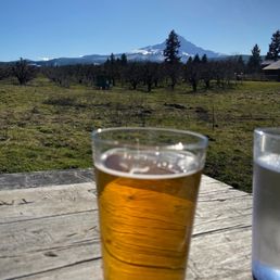Back patio looking at Mt Hood Back patio looking at Mt Hood