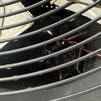 Greenix Pest Control - The picture sent by the tech as "proof" that rodents were living in my AC unit. - Pest Control Near Me - Beverly, New Jersey Greenix Pest Control - The picture sent by the tech as "proof" that rodents were living in my AC unit. - Pest Control Near Me - Beverly, New Jersey