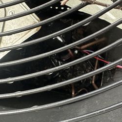The picture sent by the tech as "proof" that rodents were living in my AC unit.