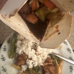 Chin's Place - Extremely soggy chicken swimming in bitter juice