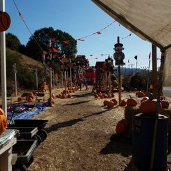 This place is ridiculous. $7 for a three minute trampoline jump. Kid is too big for the rest. Pumpkin patch time.