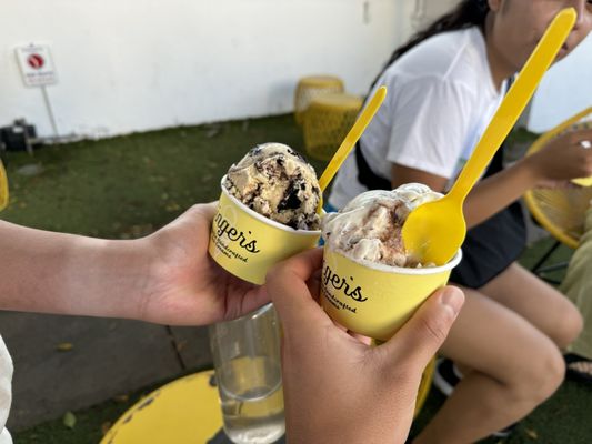 Ginger's Divine Ice Creams by null