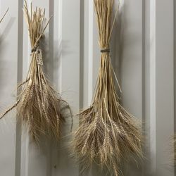 Barton Spring Mill - Different wheat hanging