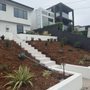 Photo of Pacific Landscaping and Maintenance