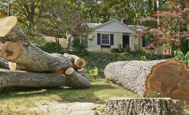 Topeka - tree service in Topeka, KS
