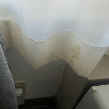 Best Western Navarre Waterfront - Black Mold - Hotels Near Me - Navarre, Florida Best Western Navarre Waterfront - Black Mold - Hotels Near Me - Navarre, Florida