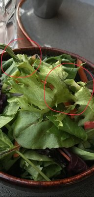 7MILE Kitchen by null