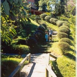 Bosque Gutierrez