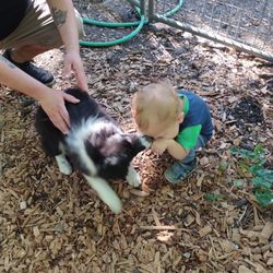 Sauvie Island Natives Nursery - Beware of dog lol She's VERY sweet, but very very friendly and energetic