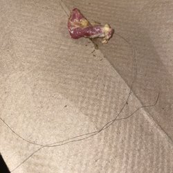 308 Brassrail Bar & Grill - HAIR IN MY FOOD