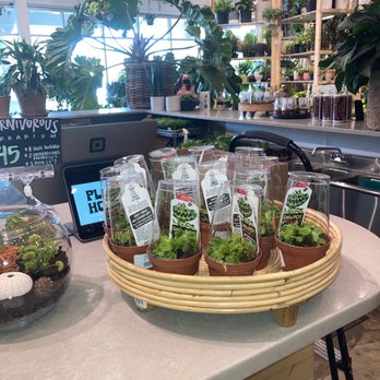 PlantHouse - Arts & Crafts Near Me - Virginia Beach, Virginia