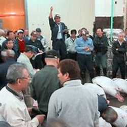 McBride Auctions